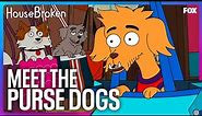 Diablo Becomes A Purse Dog | HouseBroken