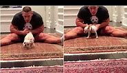 John Cena and Nikki Bella playing with their dog