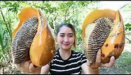 Yummy Monster Sea Snail Salad Cooking - Monster Sea Snail Cooking - Cooking With Sros