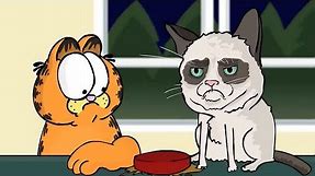 Garfield meets Grumpy Cat