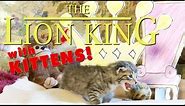 The Lion King (Cute Kitten Version)