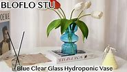 BLOFLO Blue Glass Vase, Clear Hydroponic Flower Vase