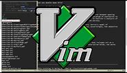 What Vim Is and Why You Should Learn It