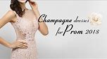 Champagne Prom Dress 2018, Shop New Champagne Gold Evening Dresses & Gowns At Millybridal.org