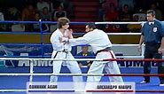 Professional kyokushin fights, Bulgaria 2006