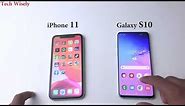 iPhone 11 vs Galaxy S10 | Speed Test & Size comparison