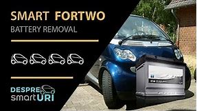 Battery Removal | Smart ForTwo 450 and 451 | Smart ForTwo Battery Capacity