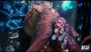 Wayde Fancies an Octopus Tank | Tanked