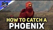 How To Get The Phoenix Animal - Hogwarts Legacy