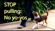 Stop pulling and "Yo-yoing"- Dog Training