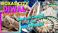 DIWAL / ANGEL WINGS CLAM AT ROXAS CITY || TATC || BY THE PINEAPPLE FAMILY