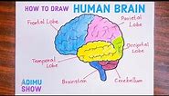 How To Draw The Human Brain | Easy step by step tutorial