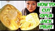 How to Cut Jackfruit Quickly & Easily - Easy Step by Step Instructions