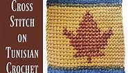 Cross Stitch on Tunisian Crochet (2 ways) - Tunisian Crochet Tutorial
