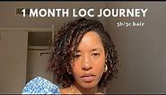 Starter Locs on 3b/3c hair | 1 month loc journey | comb coil starter locs
