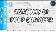 Anatomy of Pulp chamber and Root canal | Pulp cavity | Terminologies | Access opening | Dr Paridhi
