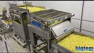 Complete Frozen French Fries Production Line