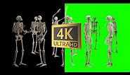 Join the Spooky Fun: Best Free 4K Green Screen Hi Res Skeleton Dance Party