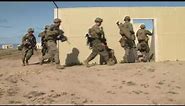 Pendleton Marines Storm Beach In Coordinated Exercise