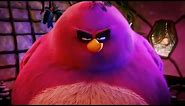 Angry Birds Terence Meme HD Template