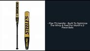 Review: Worth Steeles Hawk Edition Denny Helmig Tribute USSSA 12 25 Slow Pitch Softball Bat (WSHEU)