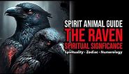 Raven Spirit Animal Meaning & Symbolism: Magic, Transformation, & Change #ravenspirit
