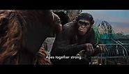 "Apes together strong" - Rise Of The Planet Of The Apes (movie scene)