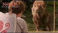 Meeting Aslan - Narnia: The Lion, The Witch and the Wardrobe