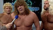 TV: Interview with The Fabulous Freebirds NWA World