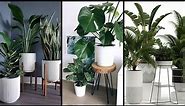 40 Modern Indoor Plants Decor Ideas / Interior Design / Best Houseplants Design Ideas