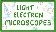 GCSE Biology - What Is The Difference Between Light And Electron Microscopes? #6