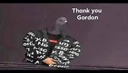 Gordon Ramsay and the fresh Pigeon