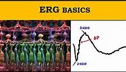 ERG waves explained | Retinal electrophysiology |
