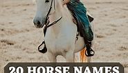 20 Legendary Names for Horses From Greek Mythology