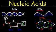 Nucleic Acids - RNA and DNA Structure - Biochemistry
