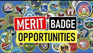 Finding MB Opportunities - How To Begin Merit Badges