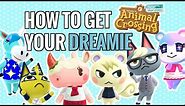 How to get the BEST Villagers! Animal Crossing New Horizons