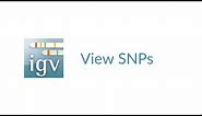 IGV | View SNPs | Homozygous, Heterozygous, Strand Bias