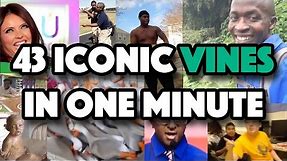 43 Iconic Vines in One Minute (THE VINE SONG)