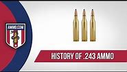 243 Ammo: The Forgotten Caliber History of 243 Ammo Explained