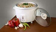 5 Best Small Rice Cooker Reviews for 2024 - We Know Rice
