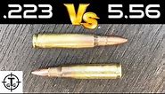 Is it SAFE to run a .223 through a 5.56 chamber? (223 -VS- 5.56)