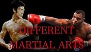 Different Types of Martial Arts And The Differences Between Them