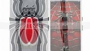 Hytparts.com-iPhone 5 Spider Design Plastic Hard Case Electroplate Silver & Red