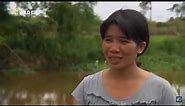 “LOLONG”, THE BIGGEST CROCODILE IN THE WORLD DOCUMENTARY NATIONAL GEOGRAPHIC WILD HD 2023