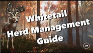 COTW Herd Management: Whitetail Deer Guide