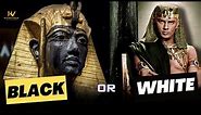 Were the Ancient Egyptians Black or White?
