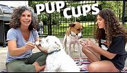Pup Cups *Homemade Ice Cream for Dogs* | Frozen Dog Treats