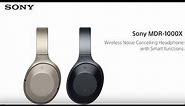 Sony MDR-1000X noise cancelling headphones