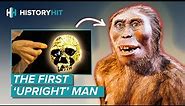 Homo erectus | Why Did the Most Successful Early Human Go Extinct?
